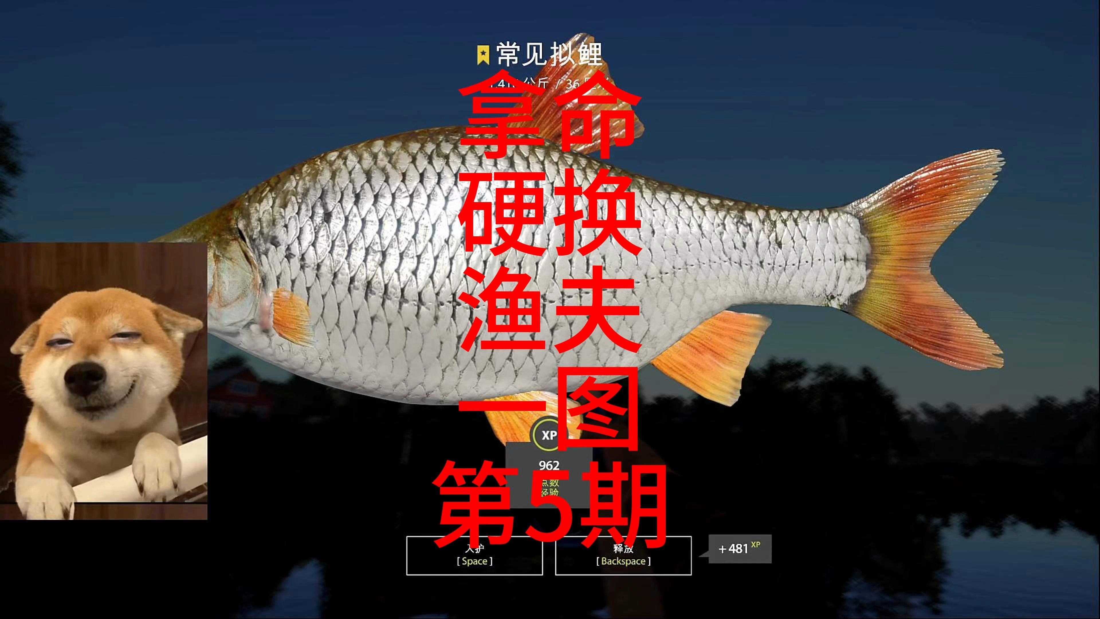 命硬(命硬的人)